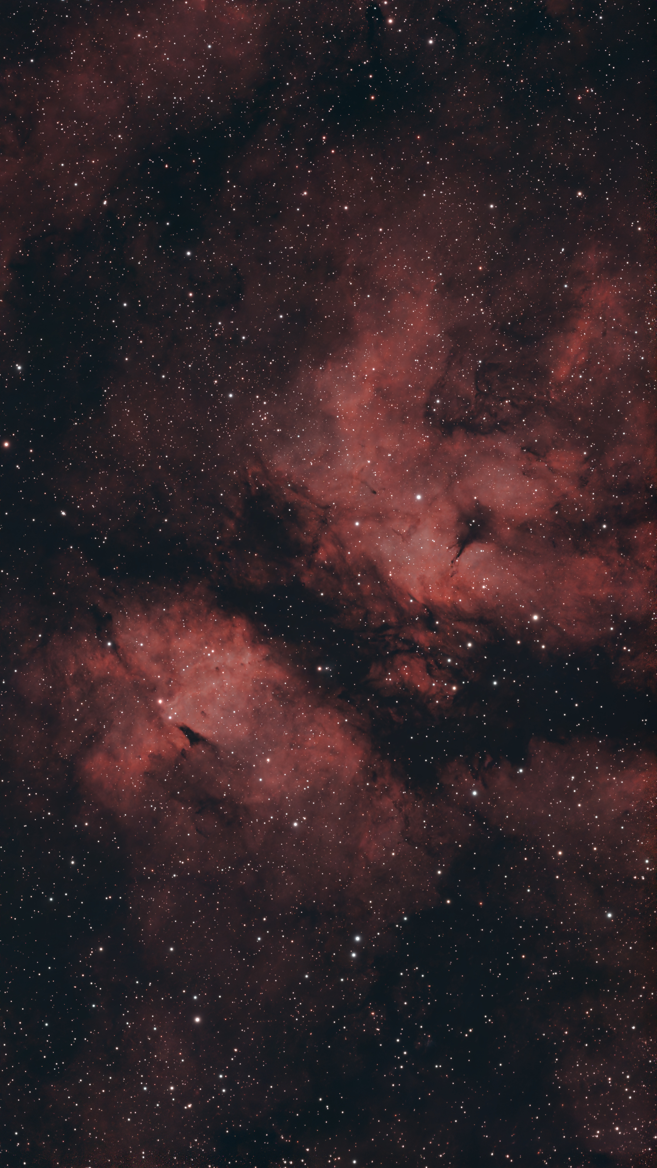 IC 1318 (Gamma Cygni Nebula)